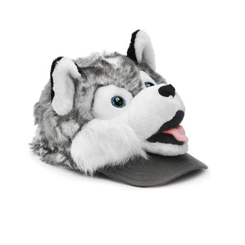 Husky talvi lippis