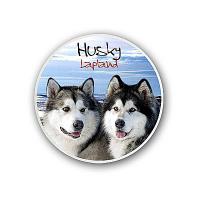 Husky magneetti pyöreä, harmaa